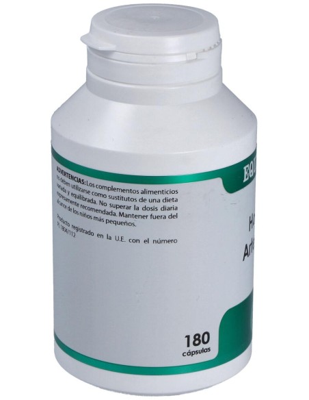 Holofit Artemisa 180Cap.