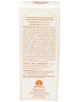 Equisalud Holotox Jarabe 250Ml