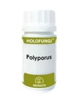 Holofungi Polyporus 180Cap.