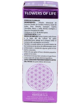 Flower Of Life Estudiantes...