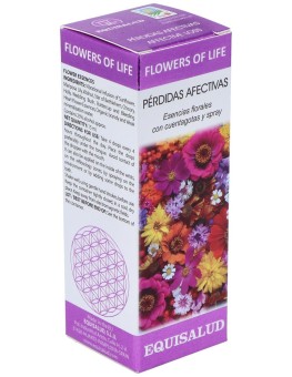 Flower Of Life Perdidas...
