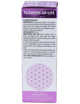 Flower Of Life Sentido De...