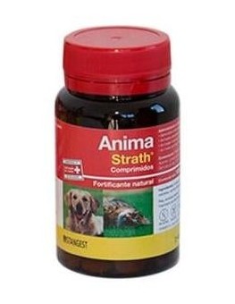 Anima Strath Perros Y Gatos...