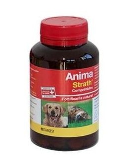 Anima Strath Perros Y Gatos...