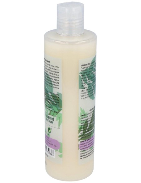 Champu Exfoliante Anticaspa 300Ml. (Ref. 641)
