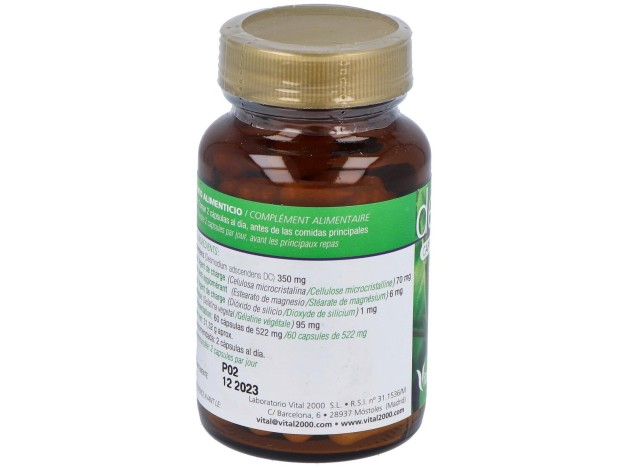Vital2000 Desmodium 60 Cápsulas