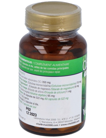 Vital2000 Desmodium 60 Cápsulas