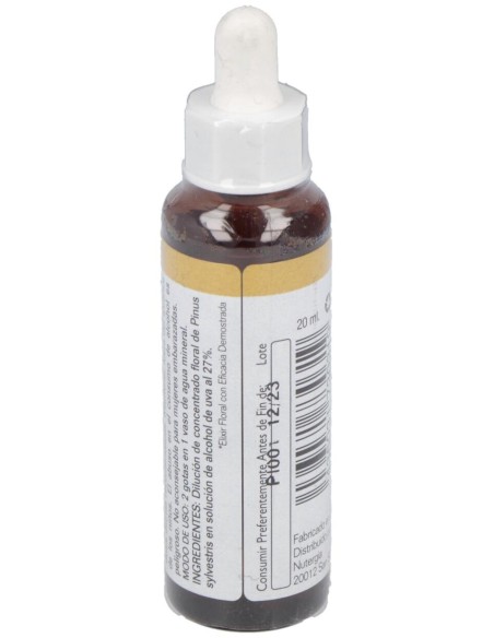 Pine 20Ml.