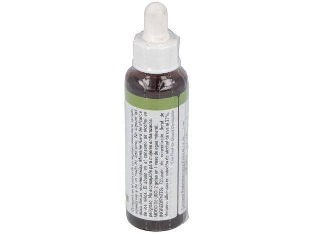 Vervain 20Ml.