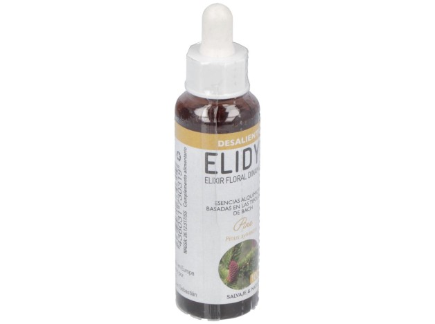 Pine 20Ml.
