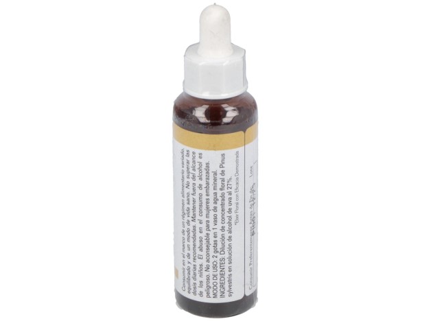 Pine 20Ml.