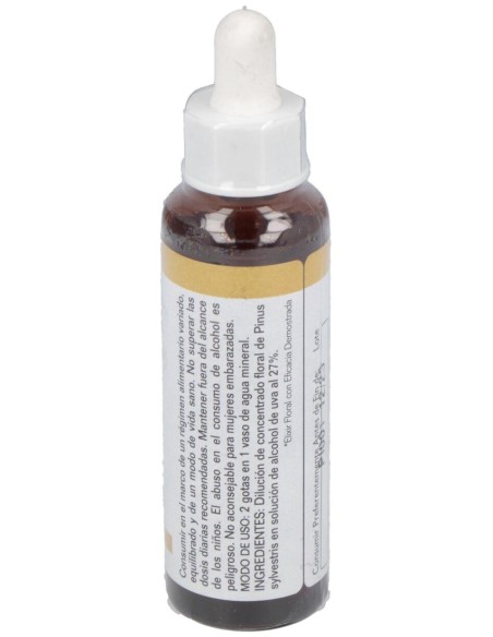 Pine 20Ml.