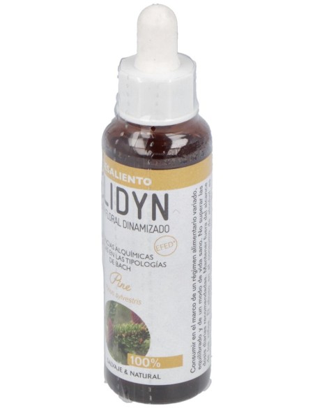 Pine 20Ml.