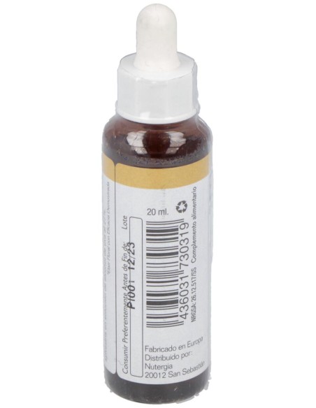Pine 20Ml.