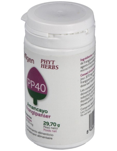 Ifigen Pp40 90 Cápsulas