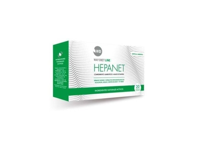 Hepanet 20Amp.