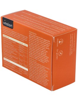 Vitalart Articular 60Comp.