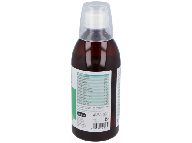 Vitalart Depurativo Bio-Detox Eco 500Ml
