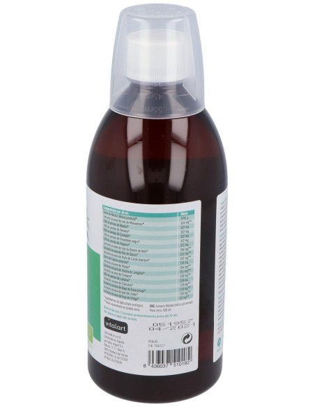 Vitalart Depurativo Bio-Detox Eco 500Ml