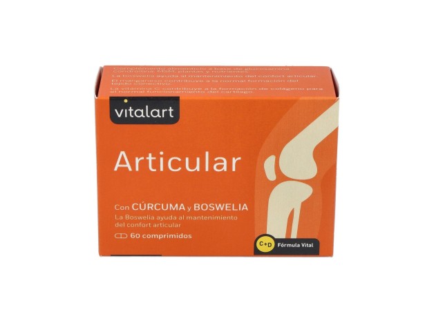 Vitalart Articular 60Comp.