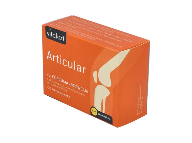 Vitalart Articular 60Comp.