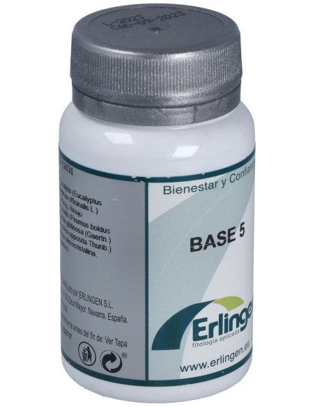 Erlingen Base 5 60Comp