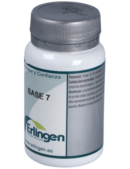 Erlingen Base 07 60Comp