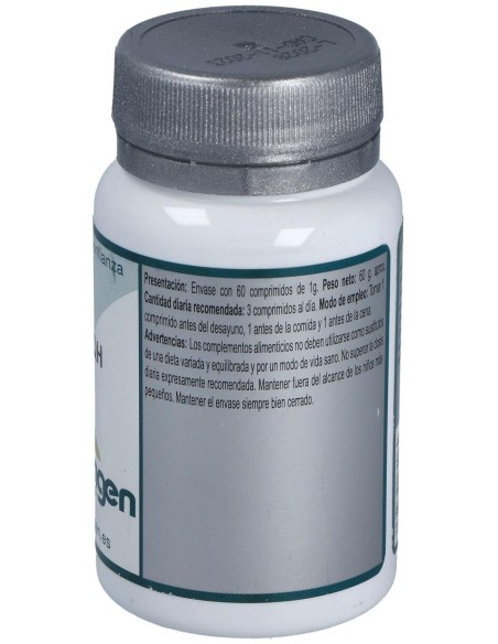 Erlingen Base 3Qh 60Comp