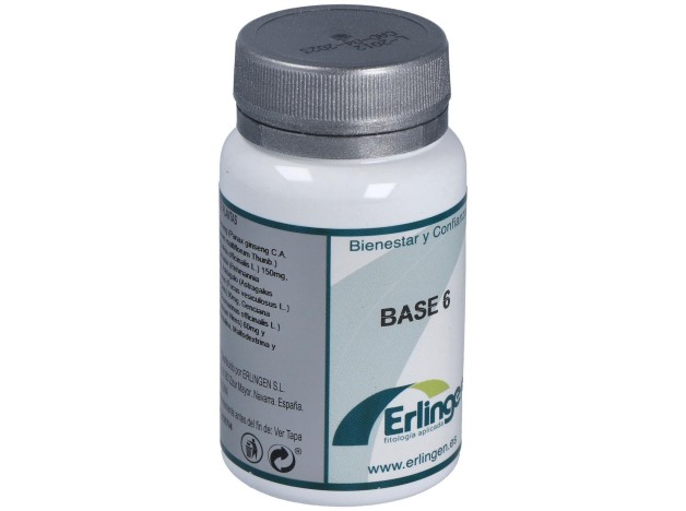 Erlingen Base 6 60 Cpr