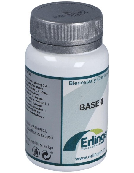 Erlingen Base 6 60 Cpr