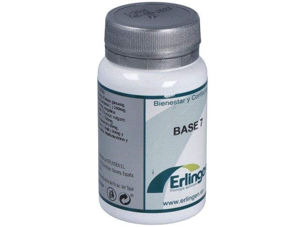 Erlingen Base 07 60Comp