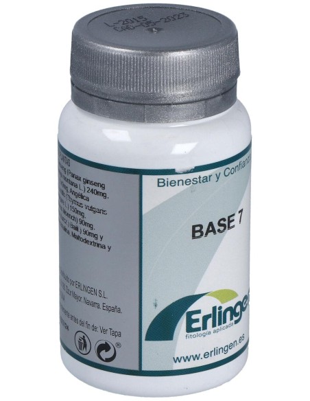 Erlingen Base 07 60Comp