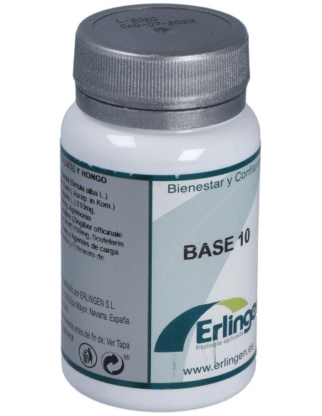 Erlingen Base 10 60Comp