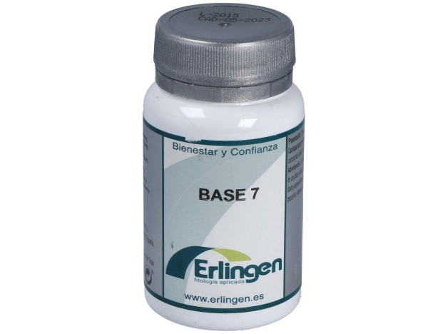 Erlingen Base 07 60Comp