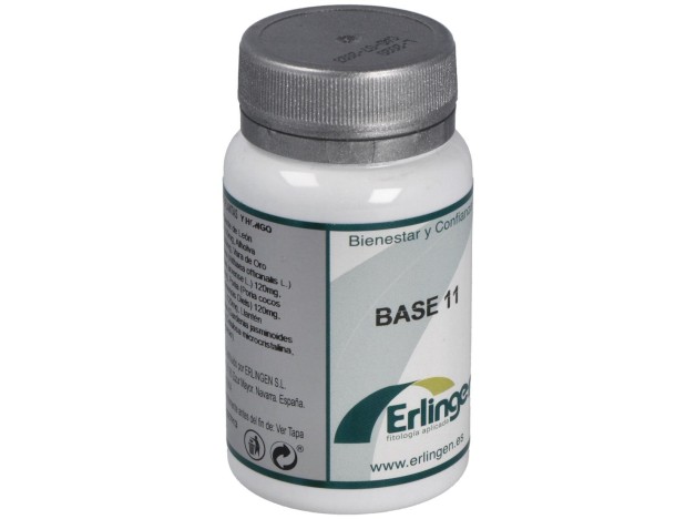 Erlingen Base 11 60Comp