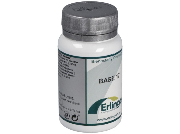 Erlingen Base 17 60Comp