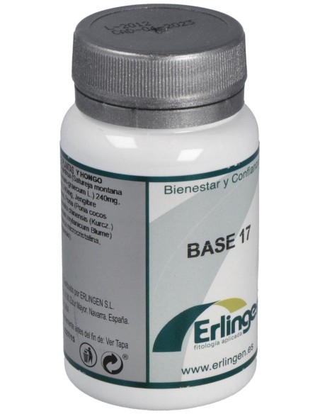 Erlingen Base 17 60Comp
