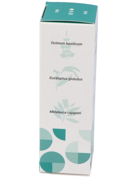 Terpenic Labs Sinergia Brizz Bio 30Ml