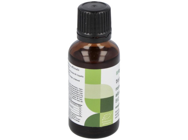 Terpenic Romero Alcanfor Aceite Esencial 30Ml