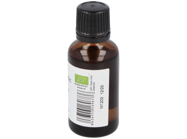 Terpenic Romero Alcanfor Aceite Esencial 30Ml