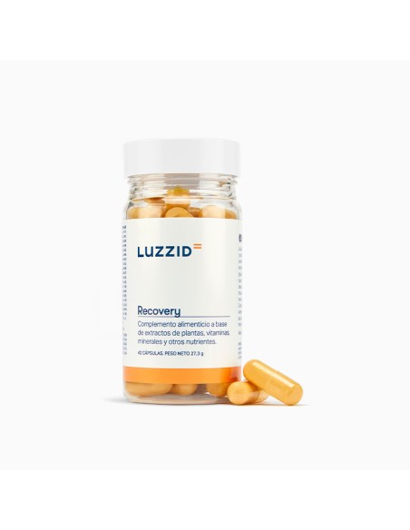 Luzzid Recovery 42 Cápsulas para la Resaca