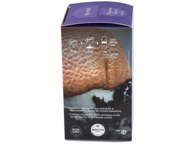 Mico Sol (Champiñon Del Sol) Hdt 70Cap.