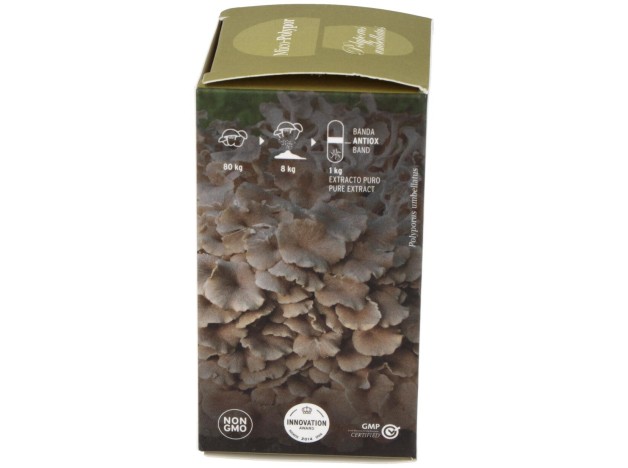 Mico Polypor (Polyporus) Hdt 70Cap.