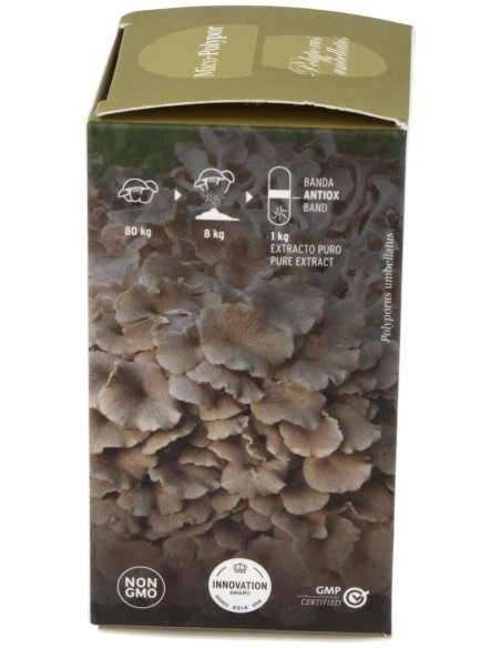 Mico Polypor (Polyporus) Hdt 70Cap.