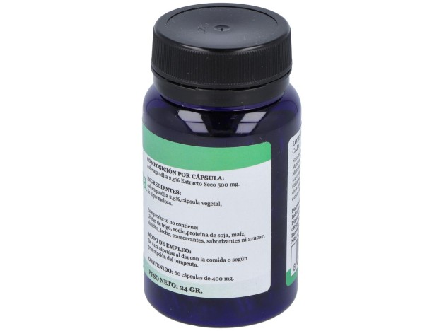 Ashwagandha 60Cap.