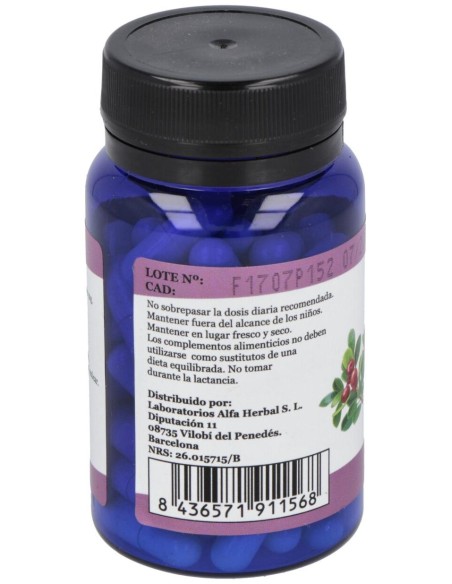 Alfa Herbal Uva Ursi Gayuba 60Caps