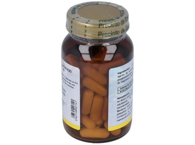 Msm 1000 Metilsulfonilmetano 60Cap.