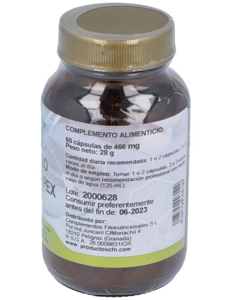 Ginkgo Biloba Pex 60Cap.