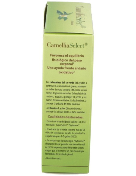 100% Natural Camellia Select Antioxidante 60Cáps