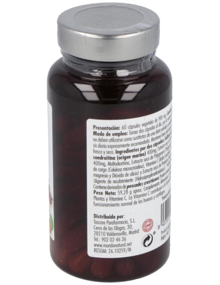 Mundo Natural Artifin  60 Cápsulas